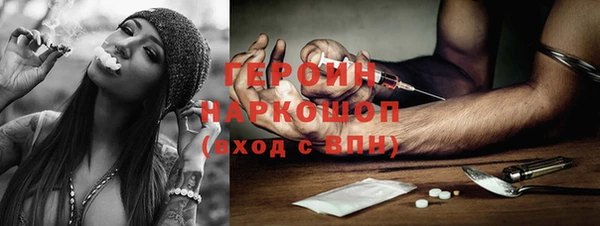 гашик Краснослободск