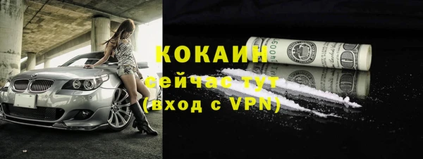 гашик Краснослободск