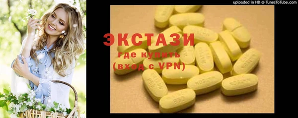 гашик Краснослободск