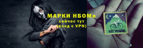 гашик Краснослободск