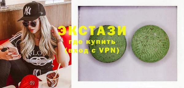 гашик Краснослободск