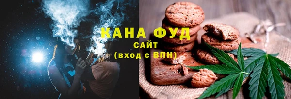 гашик Краснослободск